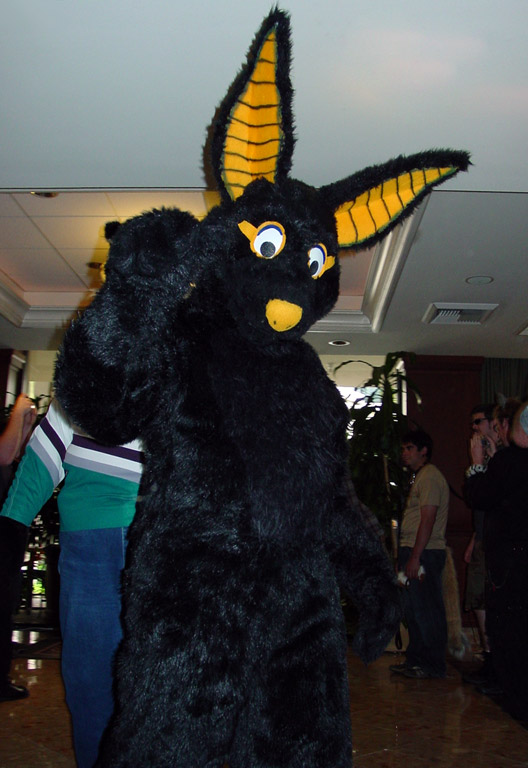 Anub'i the Black Jackal - owned by Flipper