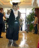 califur furry fursuit