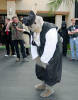 califur furry fursuit