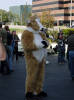 califur furry fursuit