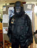califur furry fursuit