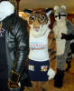 califur furry fursuit