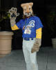 califur furry fursuit