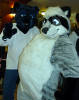 califur furry fursuit