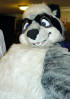 califur furry fursuit