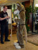 califur furry fursuit