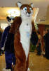 califur furry fursuit