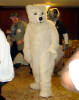 califur furry fursuit