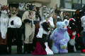 califur furry fursuit