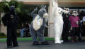 califur furry fursuit