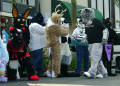 califur furry fursuit