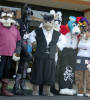 califur furry fursuit