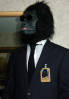 califur furry fursuit