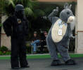 califur furry fursuit